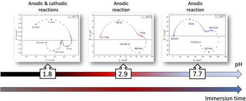 Graphical Abstract