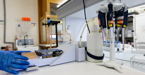 Actu offre stage/thèse Paillasse de laboratoire de chimie